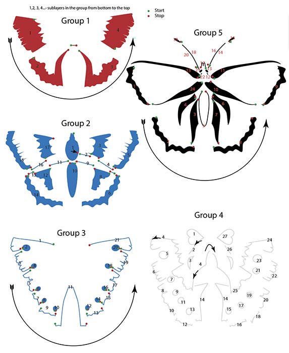 The vector object disassembled in groups